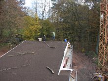 Pflanzung, Flieden, 2014 Bild: Pflanzung, Flieden, 2014