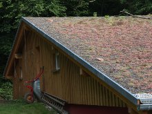 Grün, Flieden, 2015 Bild: Grün, Flieden, 2015